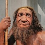 A ciência propõe que os neandertais não morreram como espécie, mas se fundiram connosco. O seu legado continua vivo no ADN dos humanos modernos