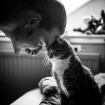 O que significa gostar de gatos, segundo a psicologia?