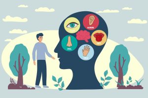 Cientistas descobrem o sétimo sentido: o tato remoto