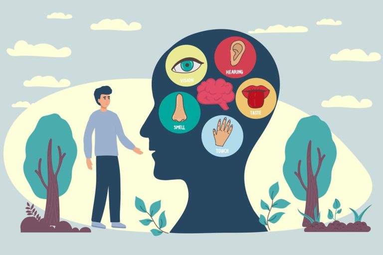 Cientistas descobrem o sétimo sentido: o tato remoto